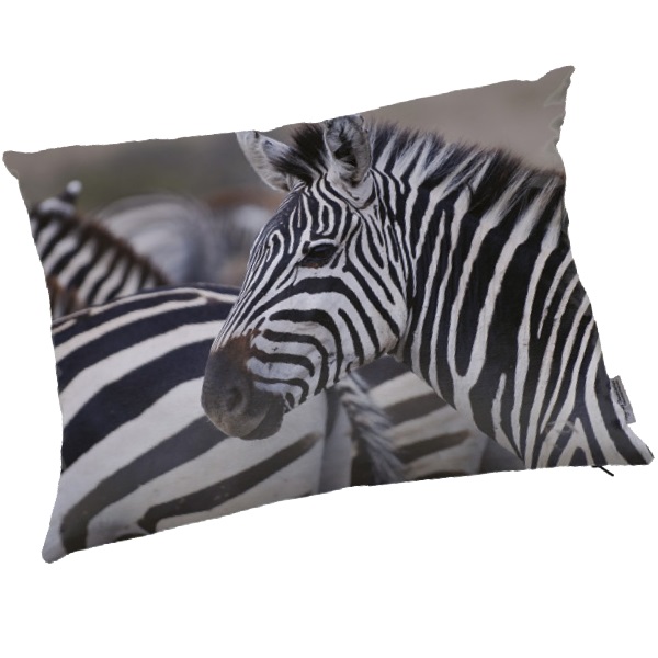 coussin-graphique-motif-zebre